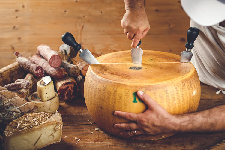 taglio di parmigiano reggiano 36 mesi